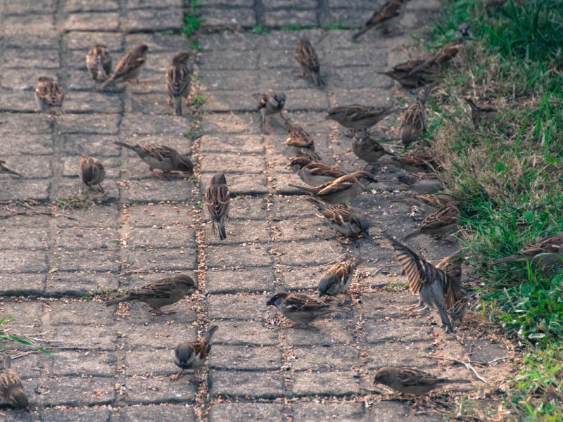 out in the back yard, in my jammies